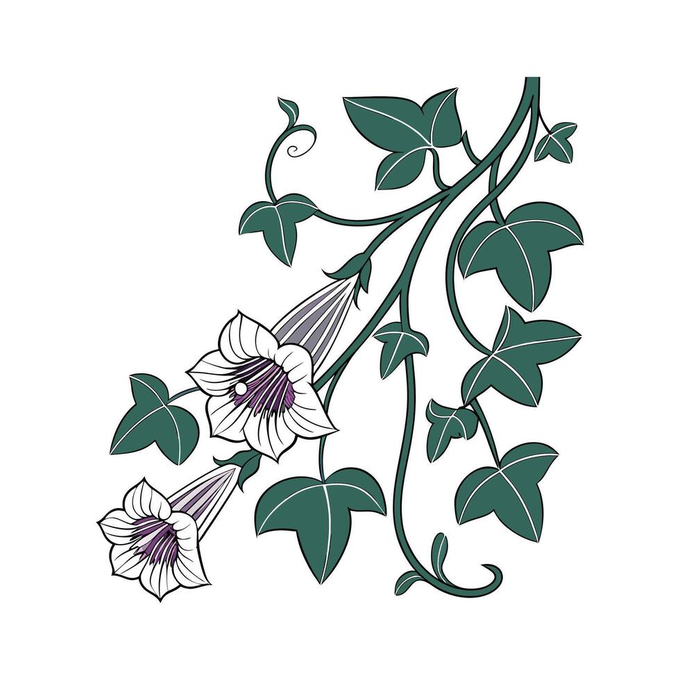 Distinctive Ceropegia Plant Artwork for Home vector