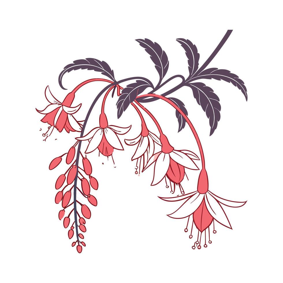 Vibrant Chenille Plant Design for Interiors vector