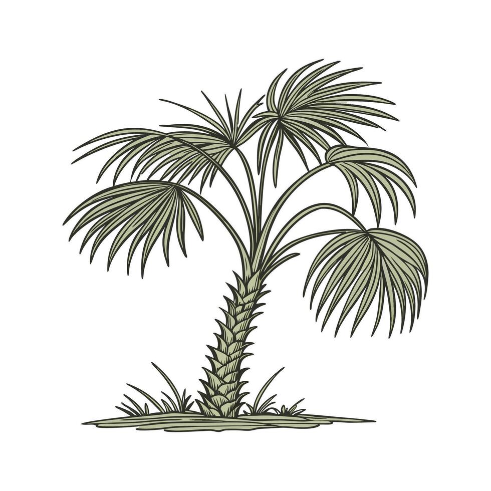 Charming Chinese Fan Palm Design on White vector