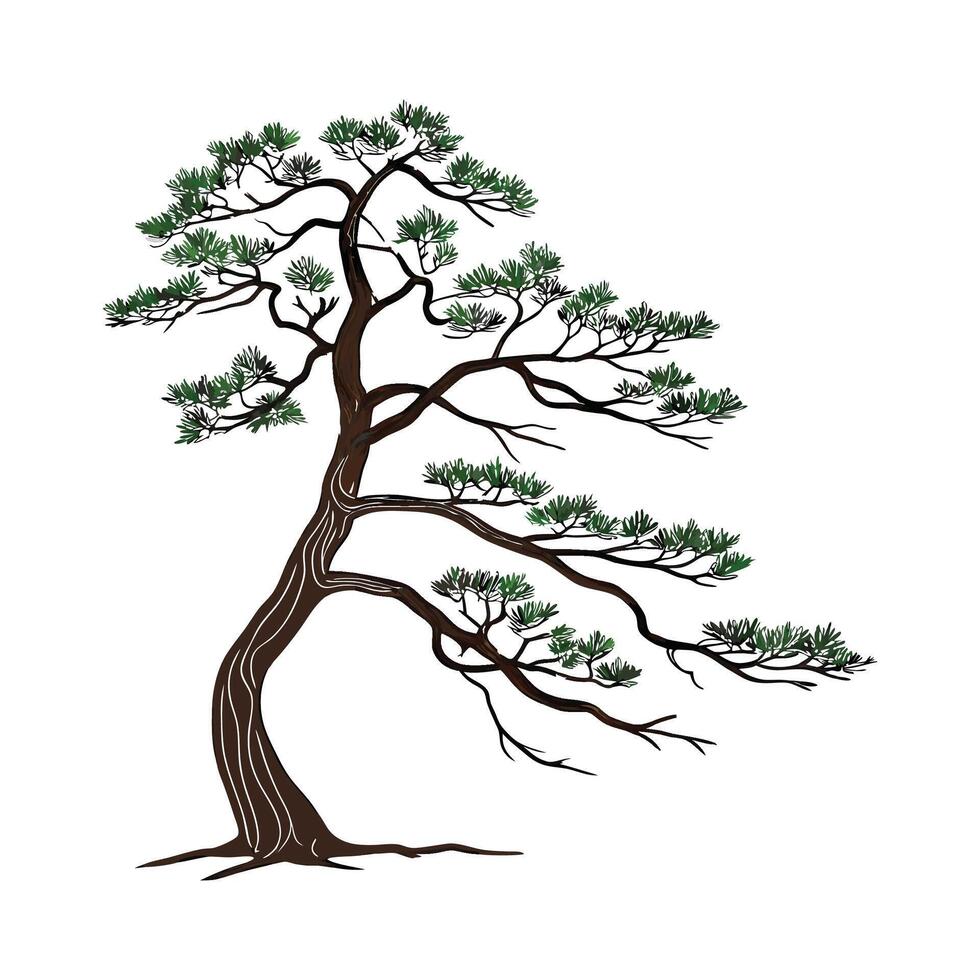 Vibrant Chinese Pine Plant Artwork for Interiors vector