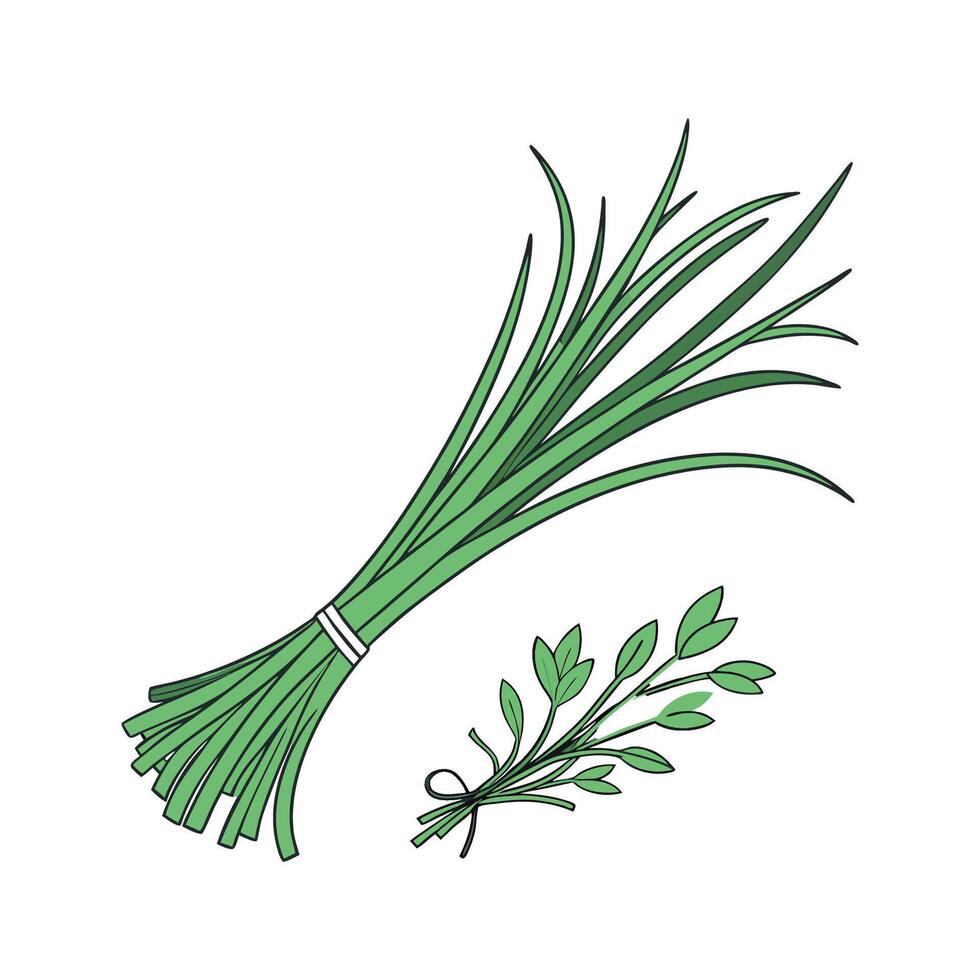 Stylish Chives Plant Design for Elegant Decor vector