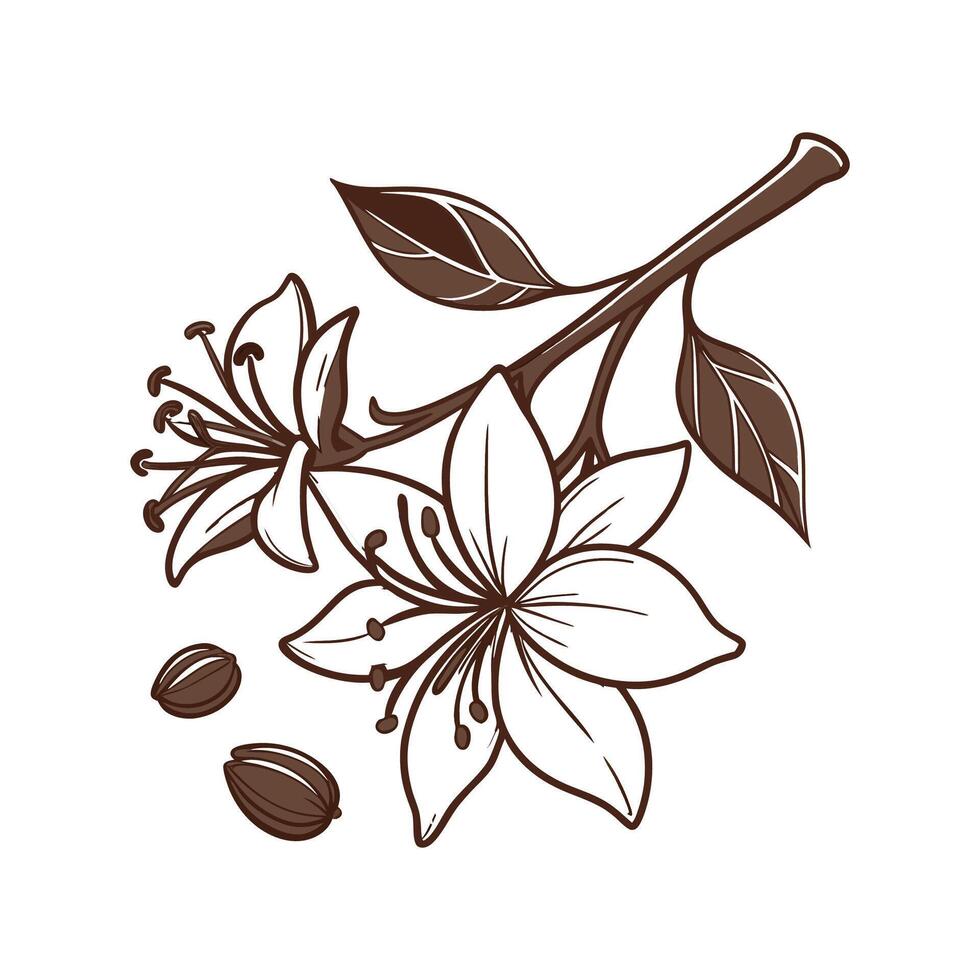 Charming Chocolate Flower Illustration for Decor vector