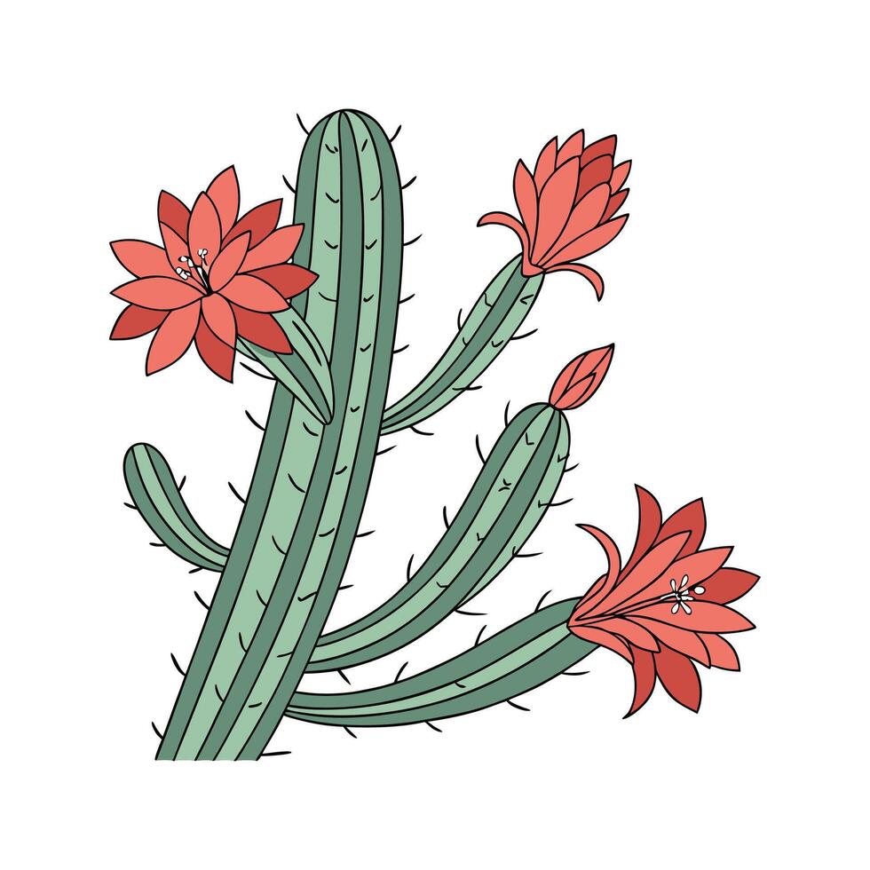 Stylish Christmas Cactus Illustration for Home vector