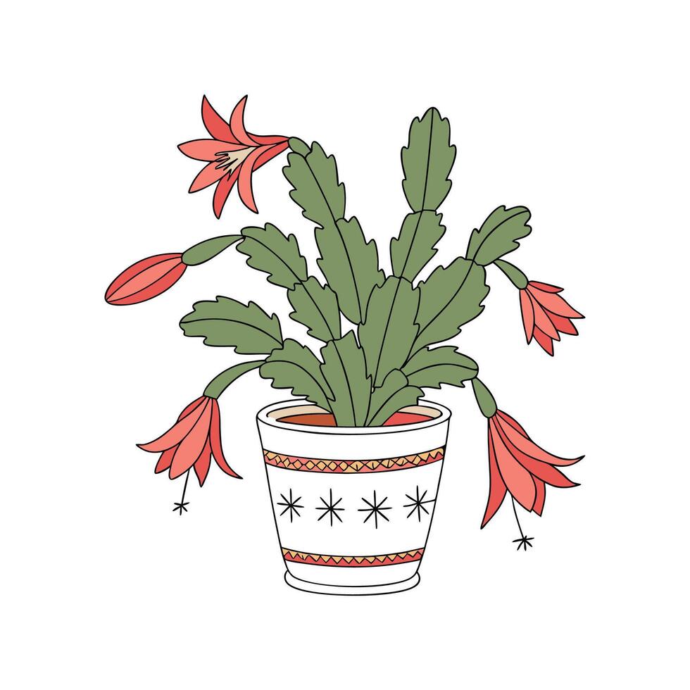 Vibrant Christmas Cactus Plant Design for Home vector