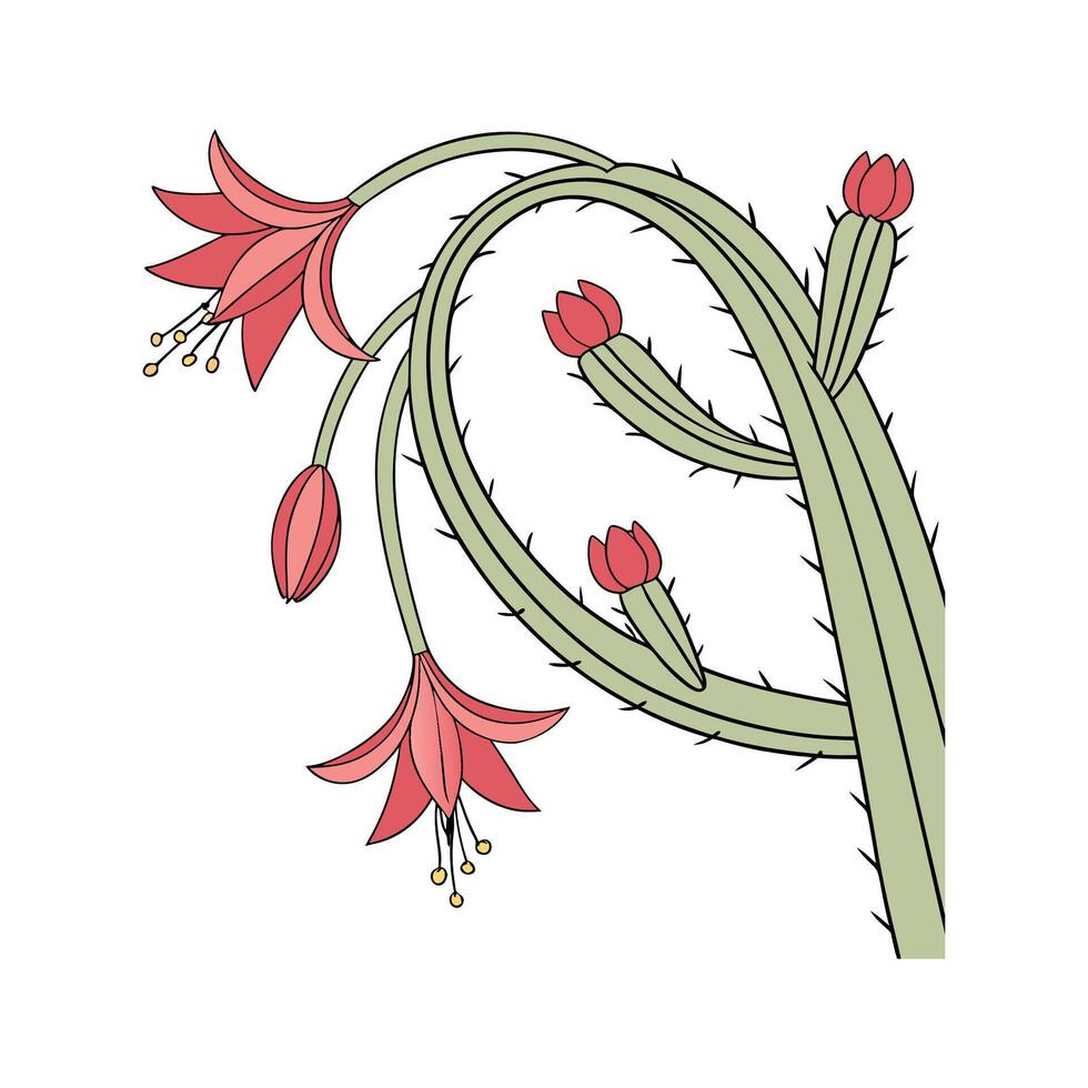 Distinctive Christmas Cactus Artwork for Elegant Home vector