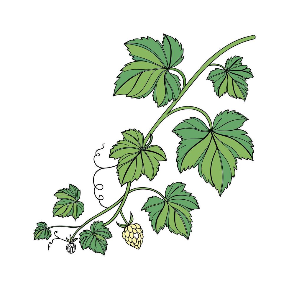Vibrant Cissus Plant Artwork for Interiors vector