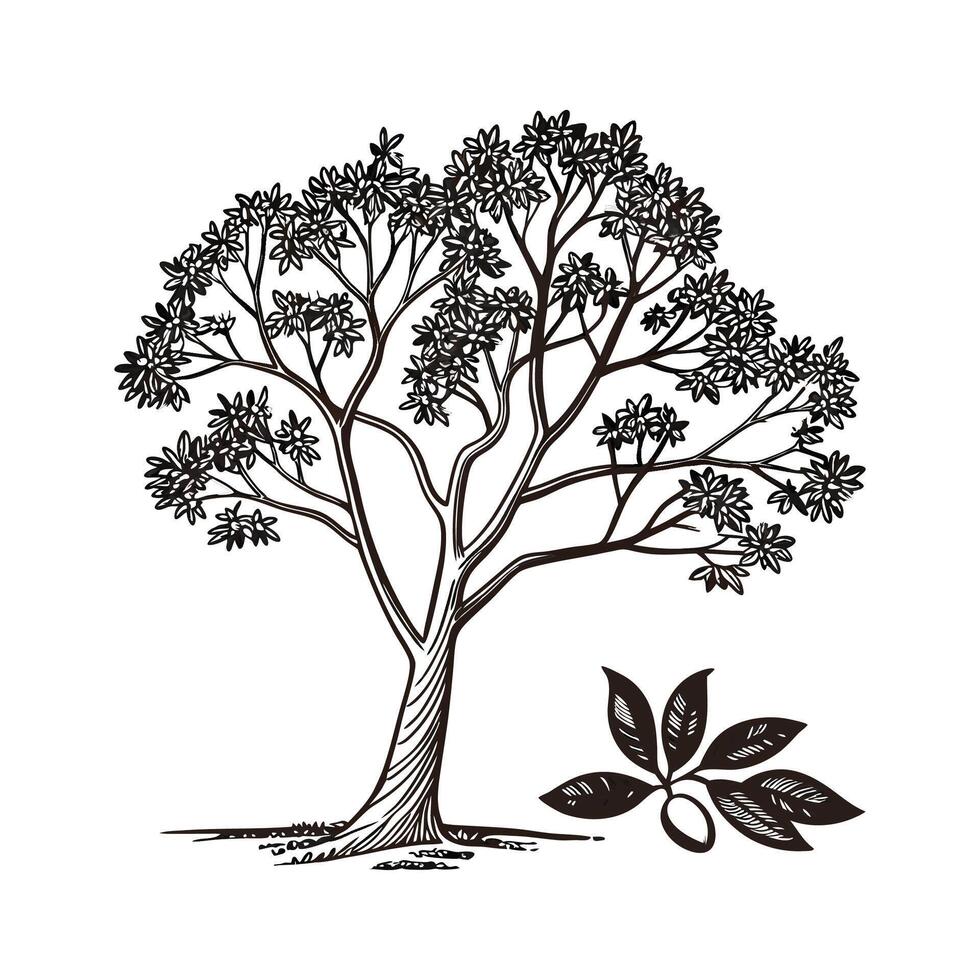 Vibrant Cinnamomum Verum Tree Artwork vector