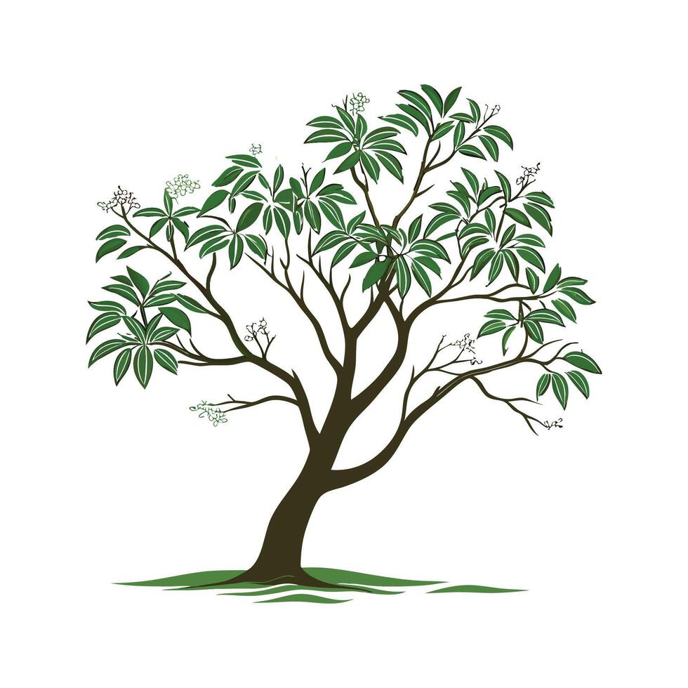 Charming Cinnamomum Verum Tree Illustration vector