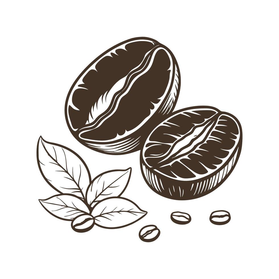 Distinctive Coffee Arabica Artwork for Home vector