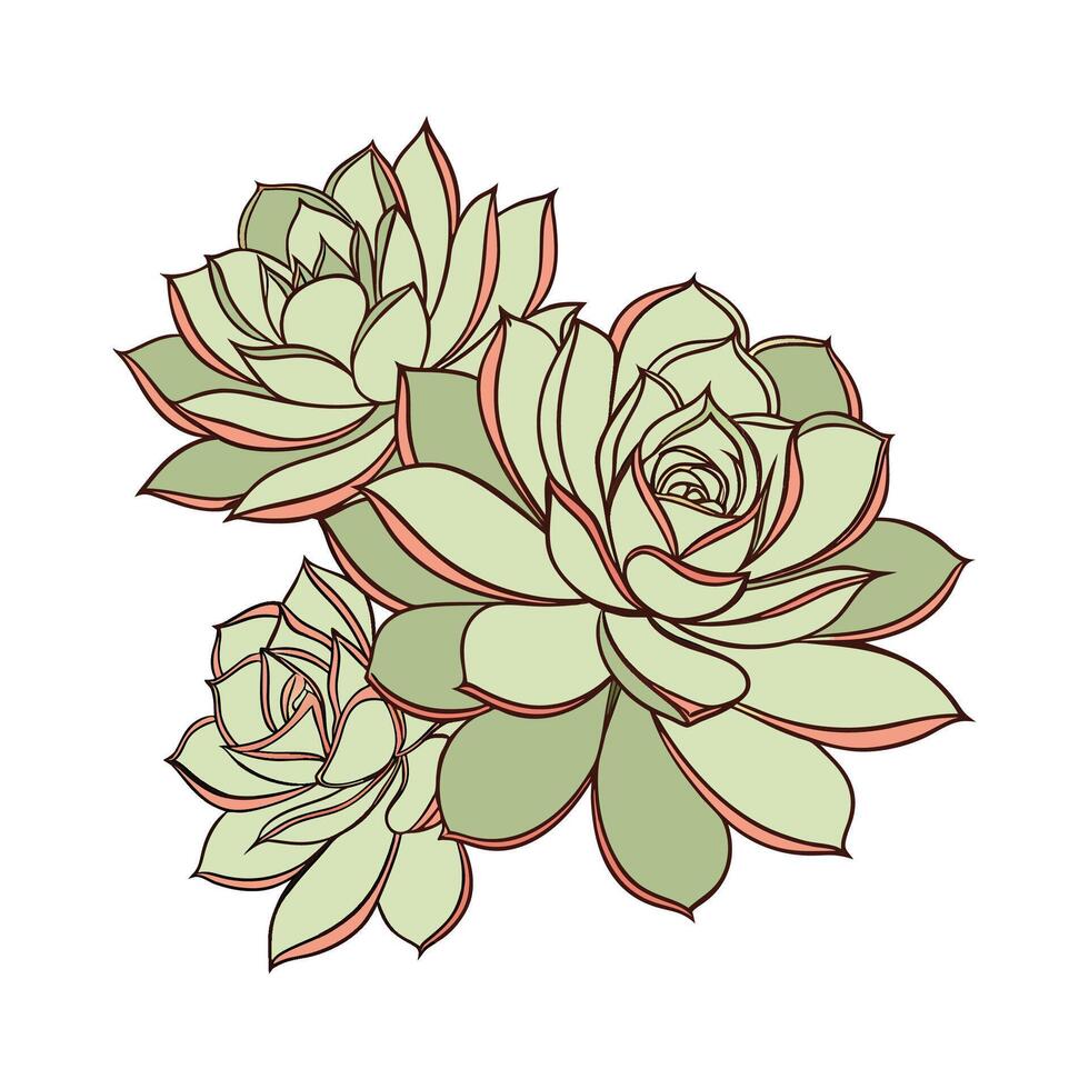 Vibrant Common Houseleek Plant Design vector