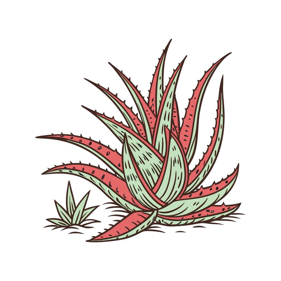 Distinctive Common Houseleek Artwork for Home vector