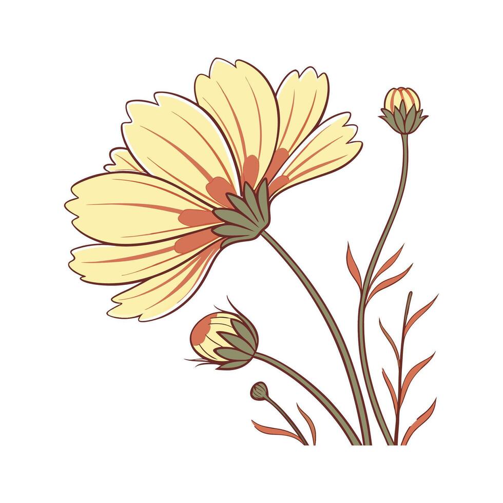 Vibrant Coreopsis Plant Design for Interiors vector