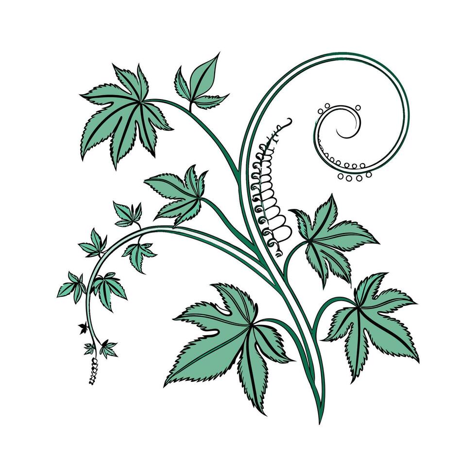 Vibrant Corkscrew Plant Design for Elegant Spaces vector