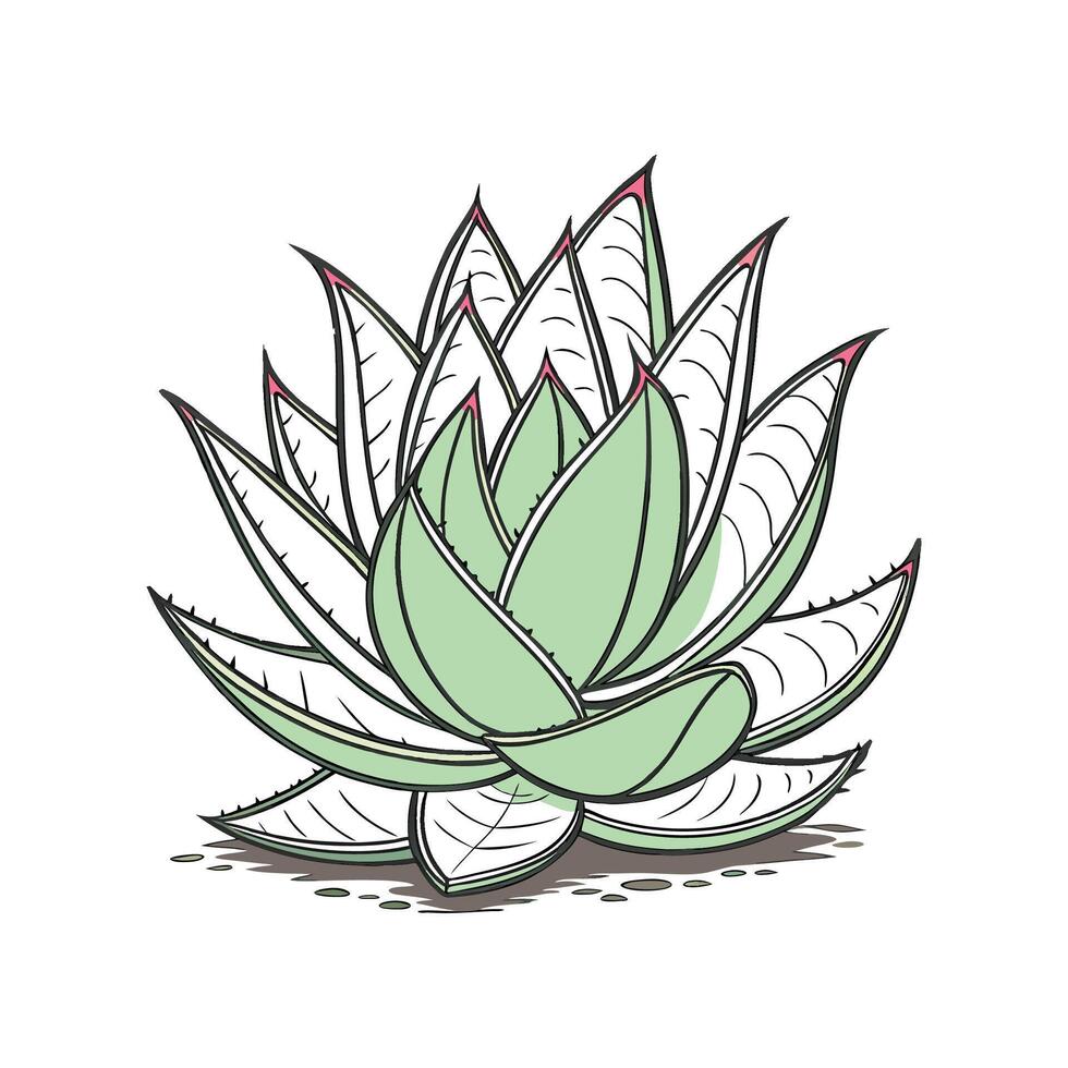Charming Crassula Plant Design for Home vector