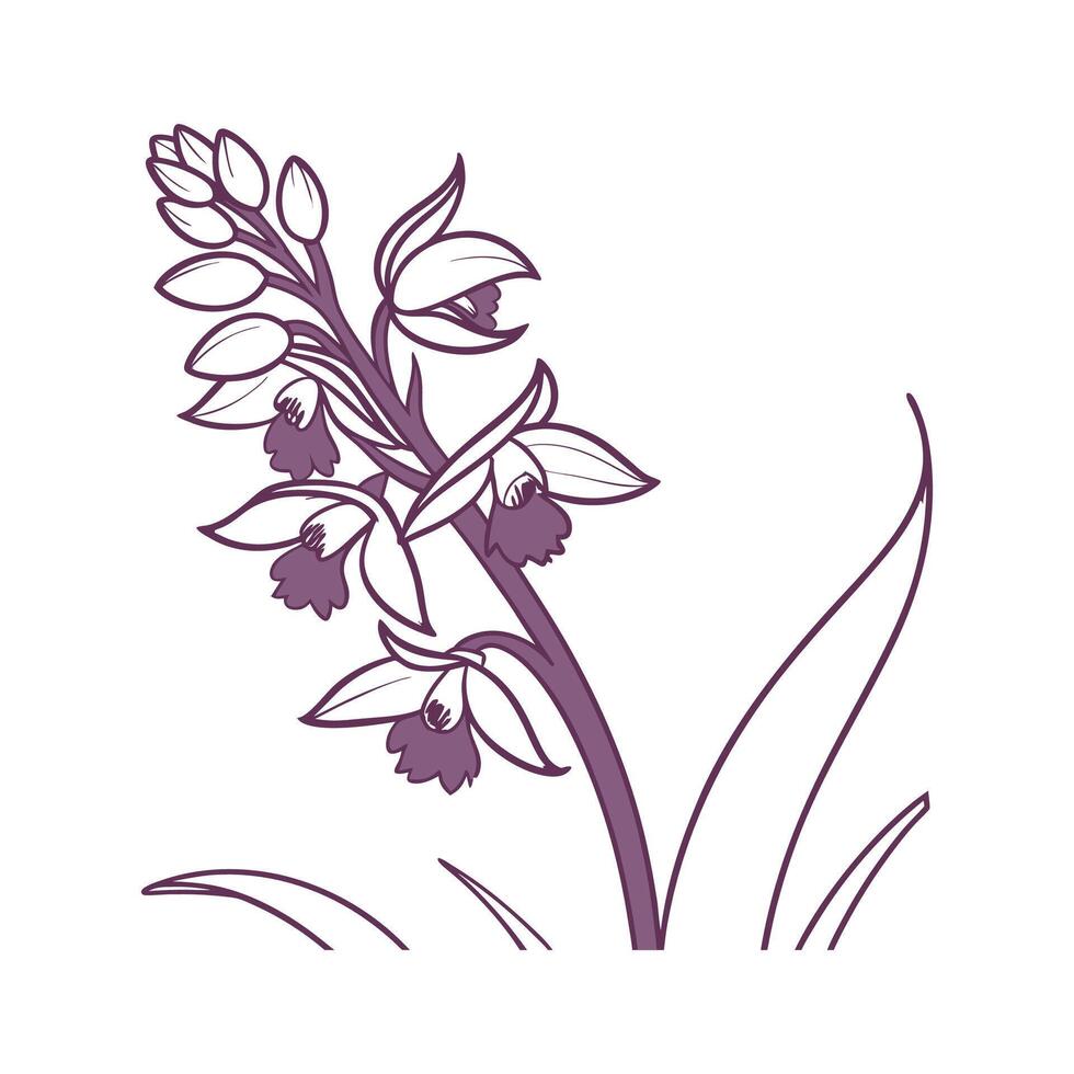 Charming Crossbill Orchid Plant vector