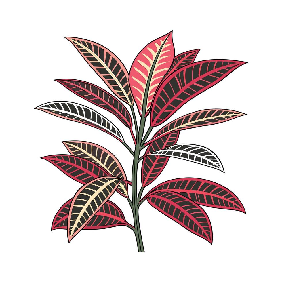 Bold Outline of Croton Petra Leaves vector