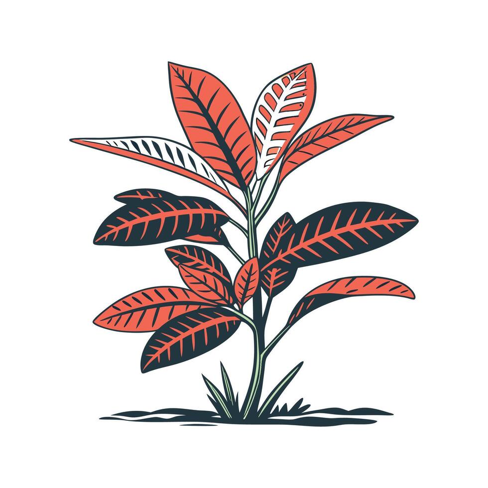 Elegant Croton Petra with Bold Outline vector