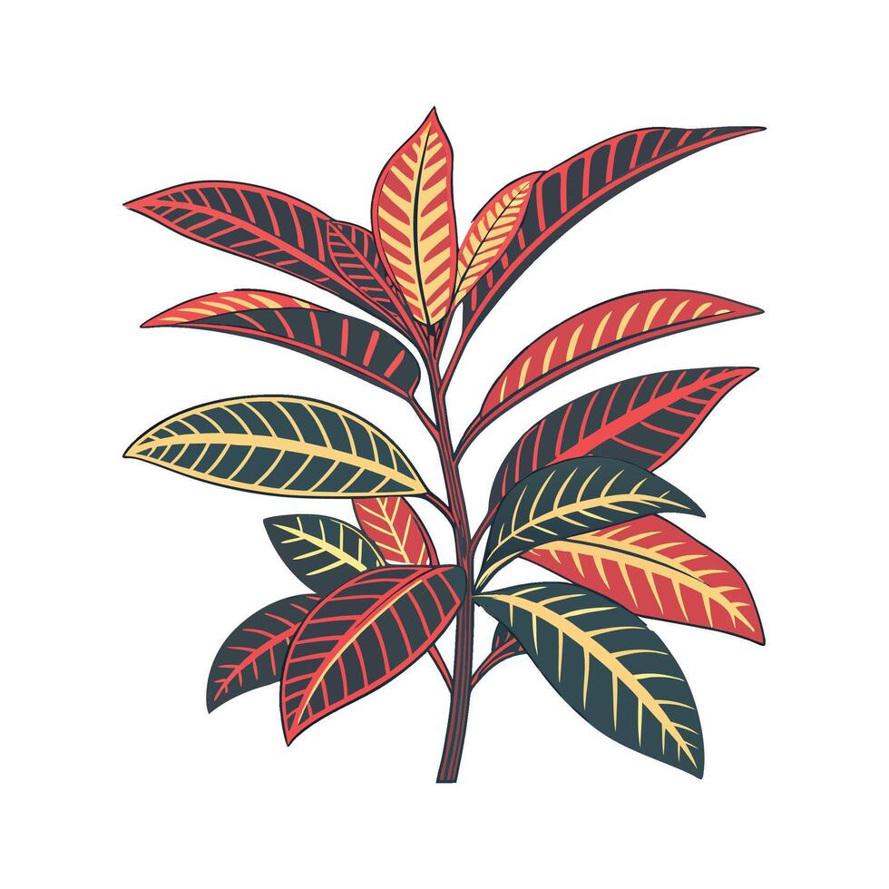 Lively Croton Petra Leaves on White vector
