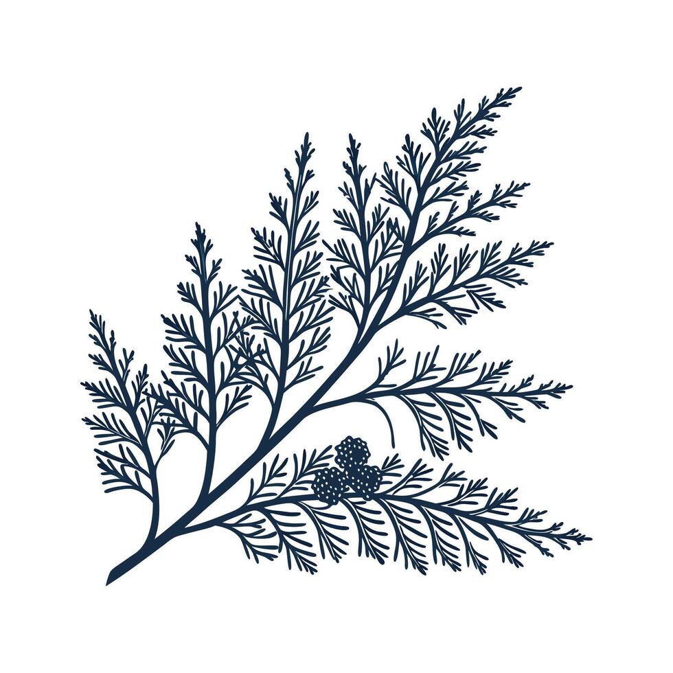 Elegant Cypress on Clean White vector
