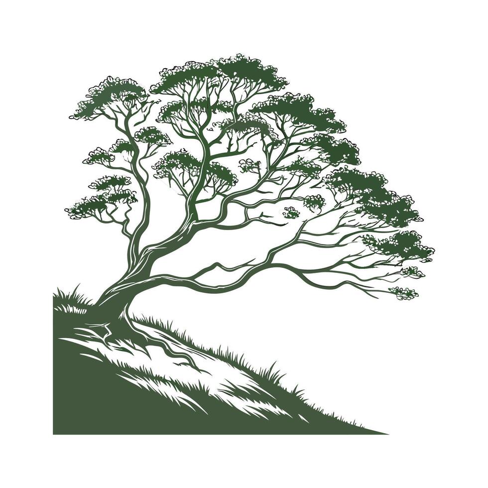 Vibrant Cypress Plant Display vector