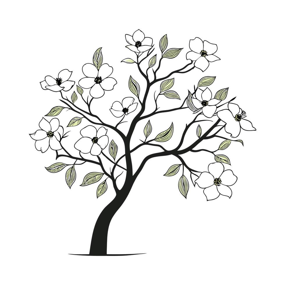 Vibrant Dogwood Flowers Display vector