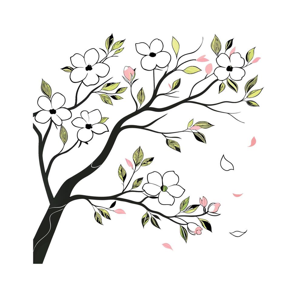 Beautiful Dogwood Plant on White vector