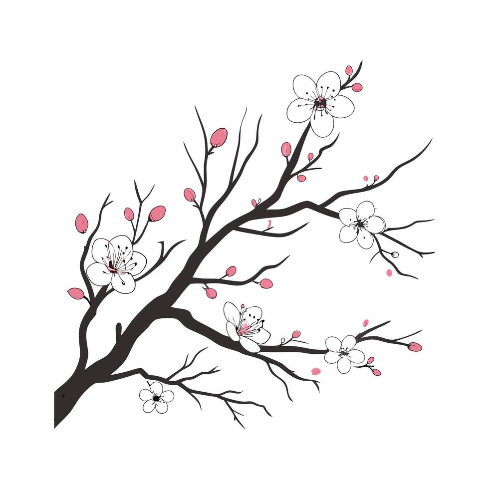 Beautiful Duble Branch Thicket on White vector