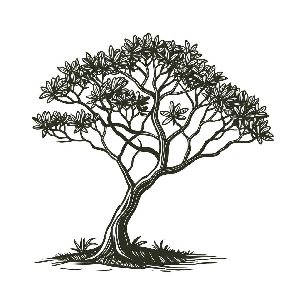 Vibrant Dwarf Umbrella Tree Plant vector