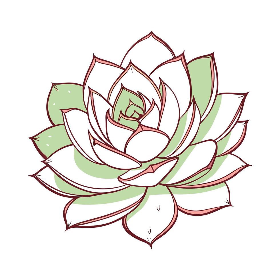 Vibrant Echeveria Agavoides Display vector