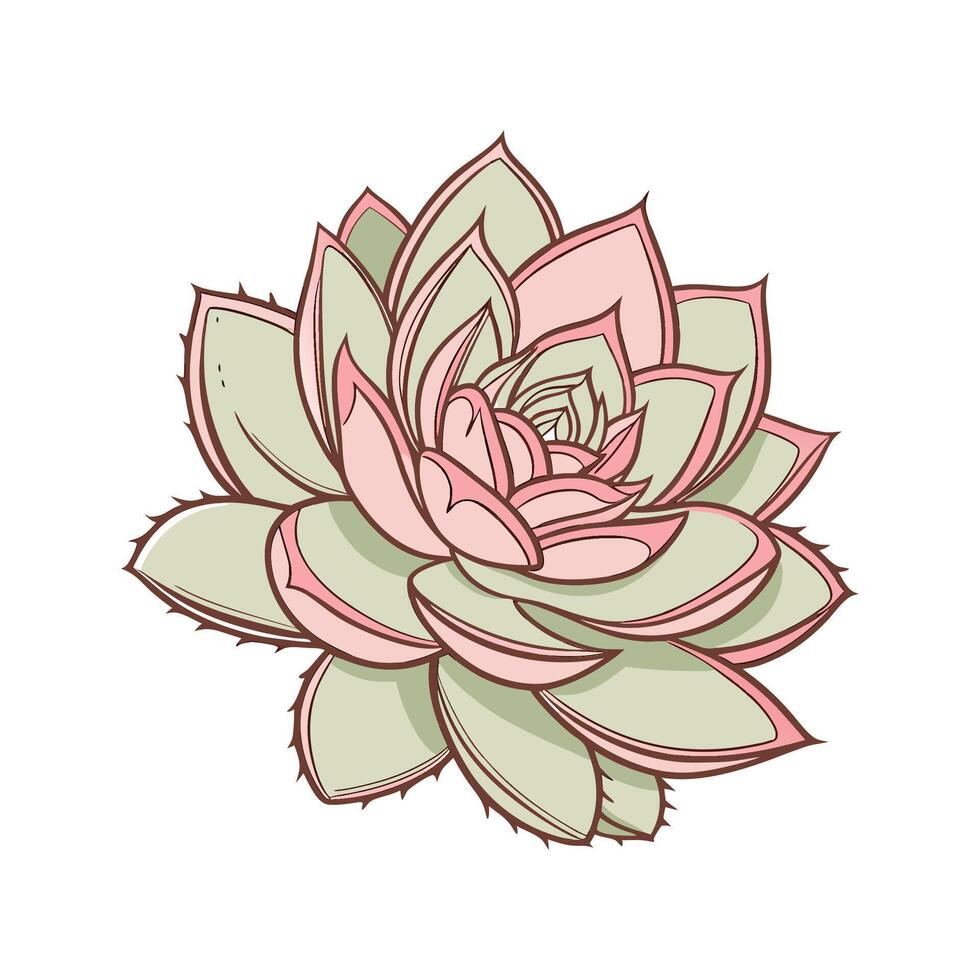 Lively Echeveria on Bright White vector
