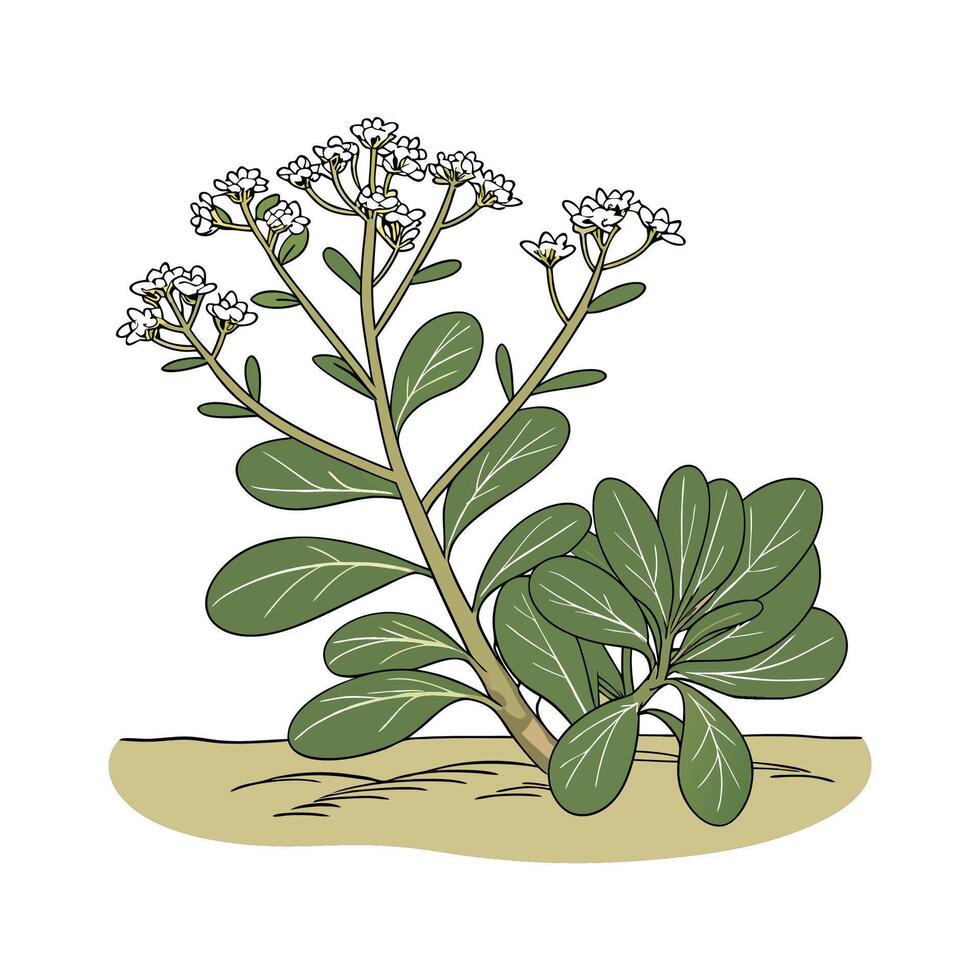 Vibrant Elephant Bush on White vector