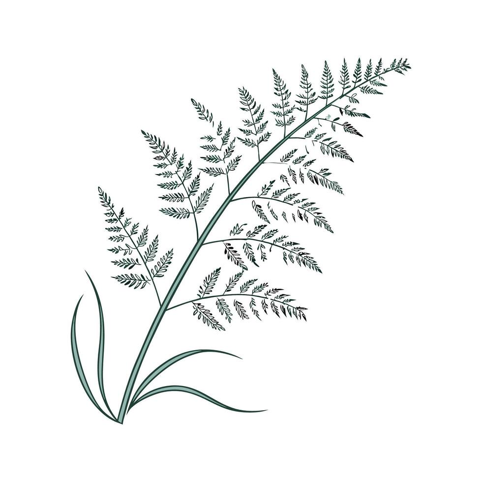 Vibrant Feather Plant on White vector