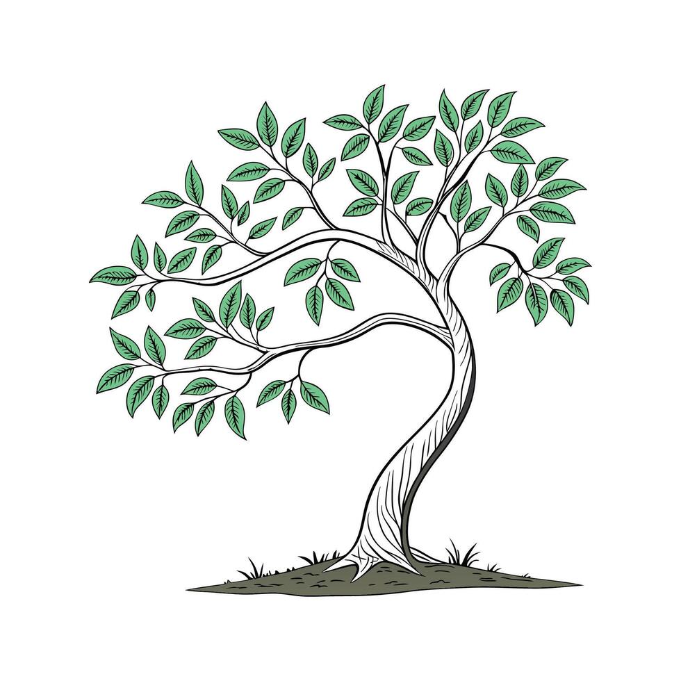 Vibrant Ficus Benjamina Plant vector