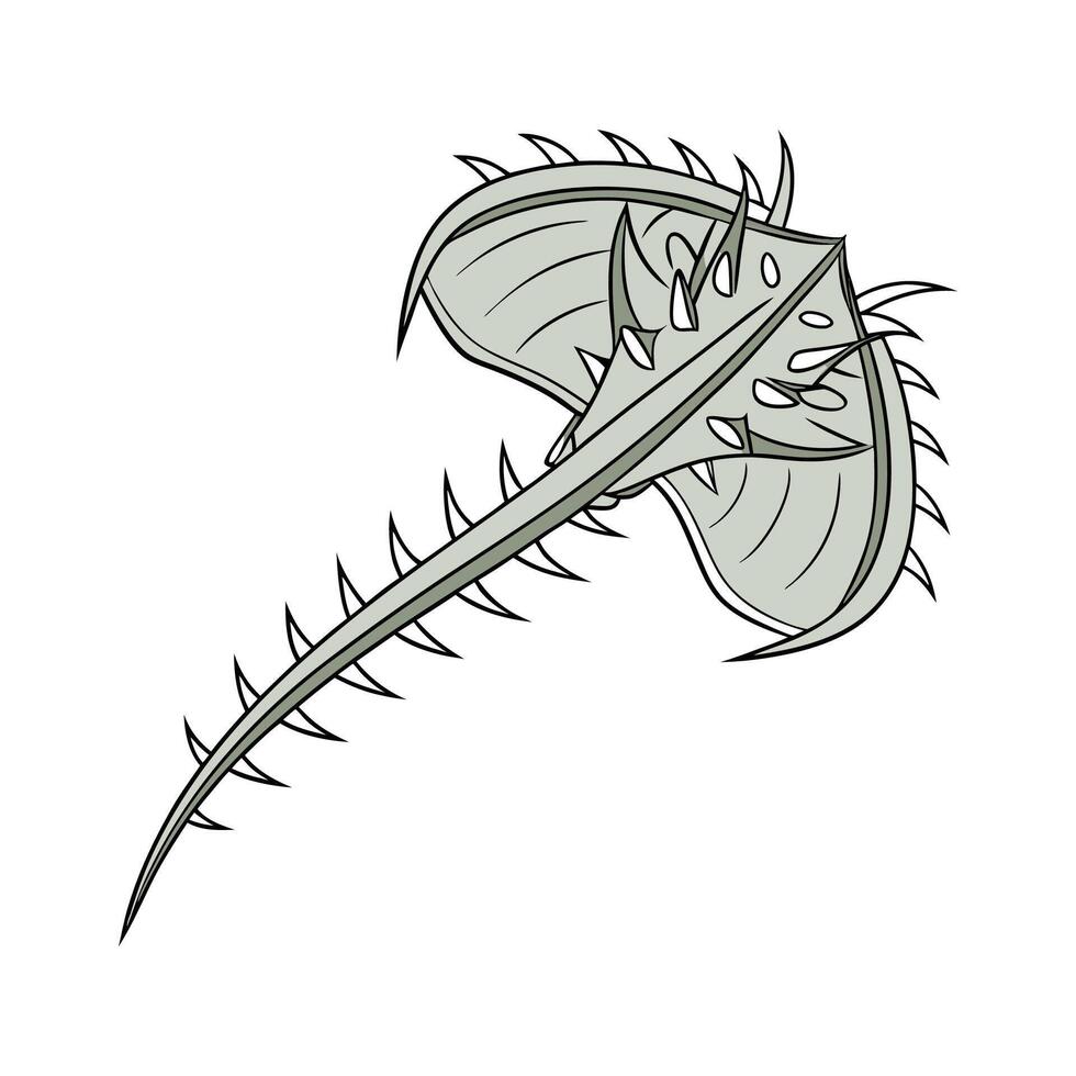 Vibrant Fishbone Cactus Display vector