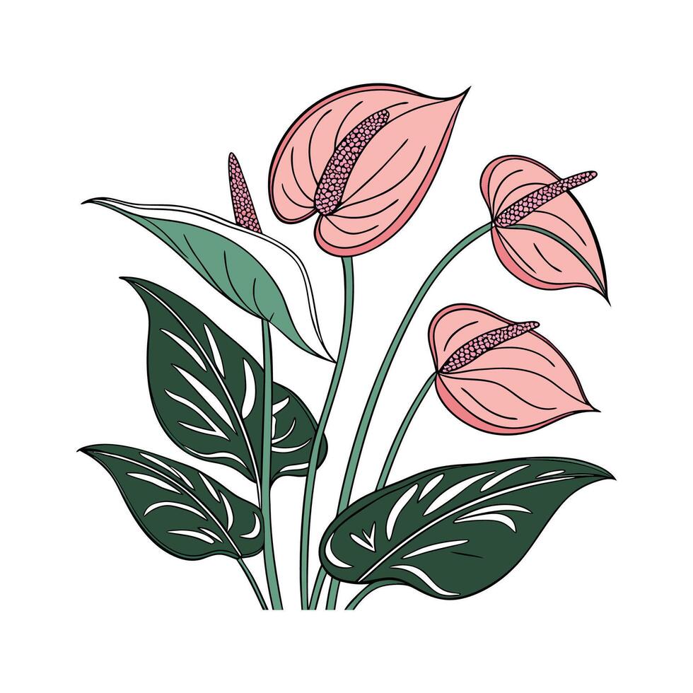 Beautiful Flamingo Plant on White vector