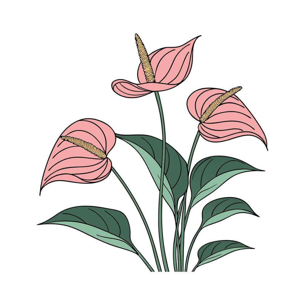 Vibrant Flamingo Plant on White vector