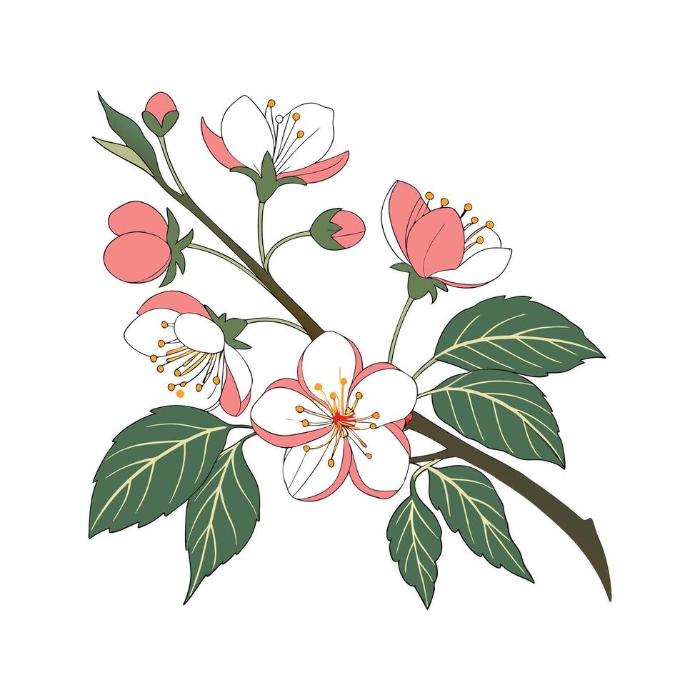 Charming Flowering Maple Botanical Illustration Design vector
