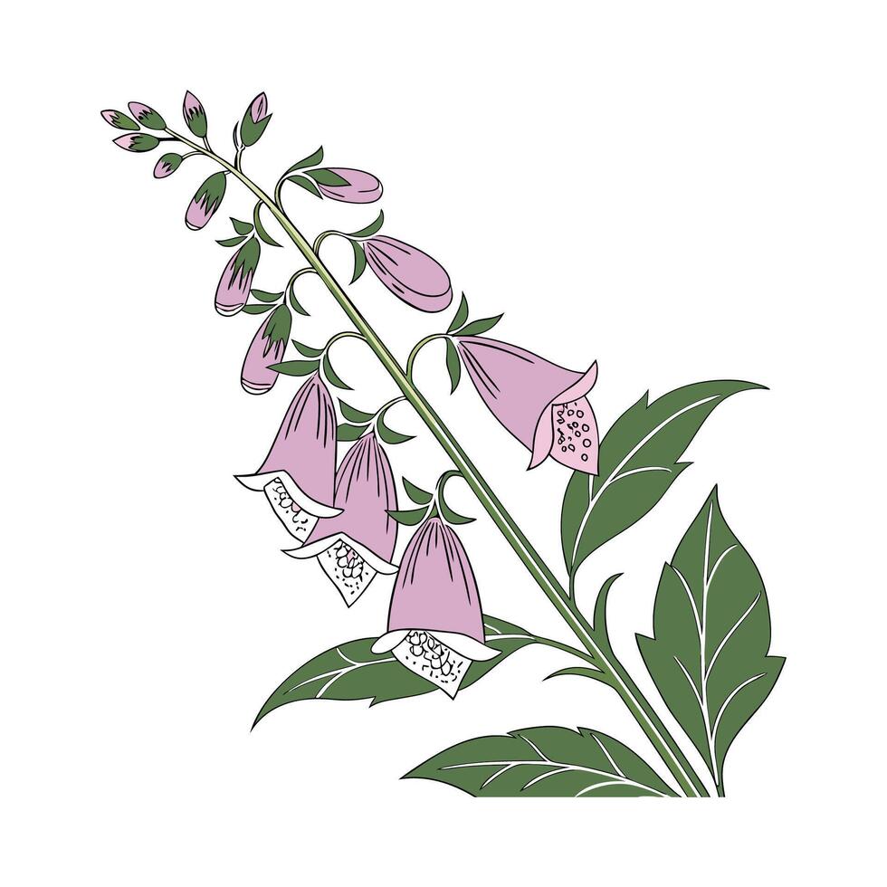 Appealing Foxglove Plant Art Design vector