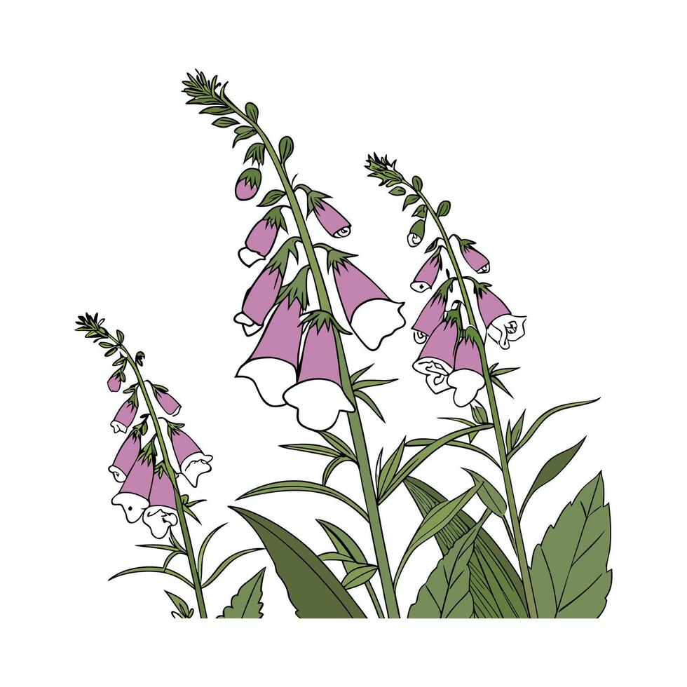 Eyecatching Foxglove Plant Detailed Art vector