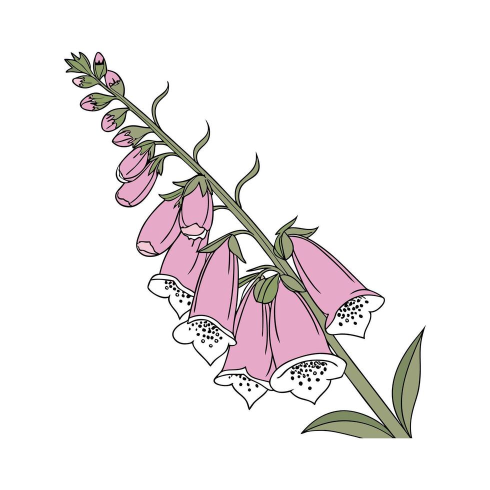 Vibrant Foxglove Plant Illustration Decorative Design vector