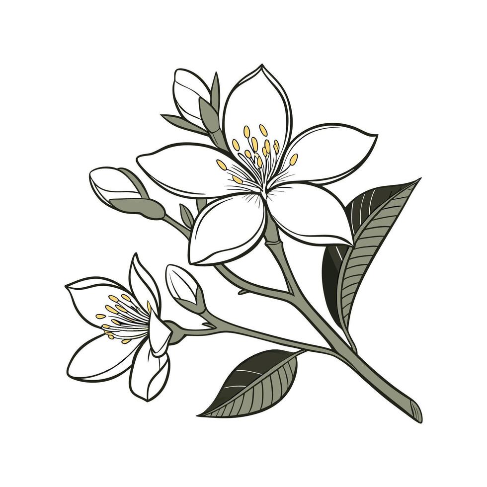 Charming Gardenia Flower Artistic Artwork vector