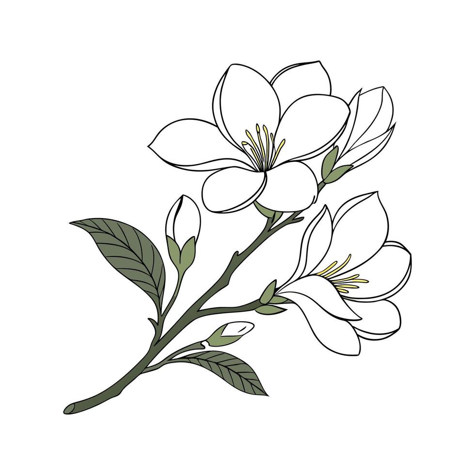 Elegant Gardenia Flower Artistic Illustration Design vector