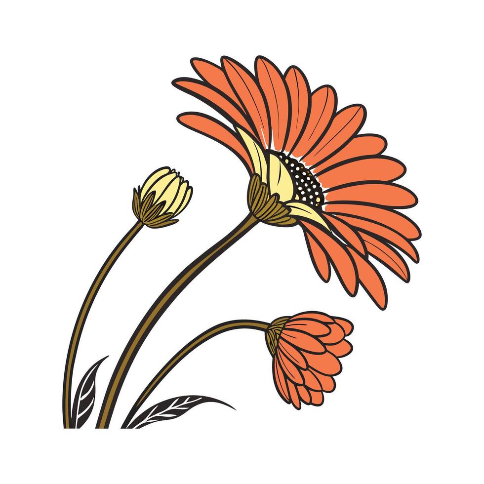 Charming Gerbera Daisy Artistic Illustration vector