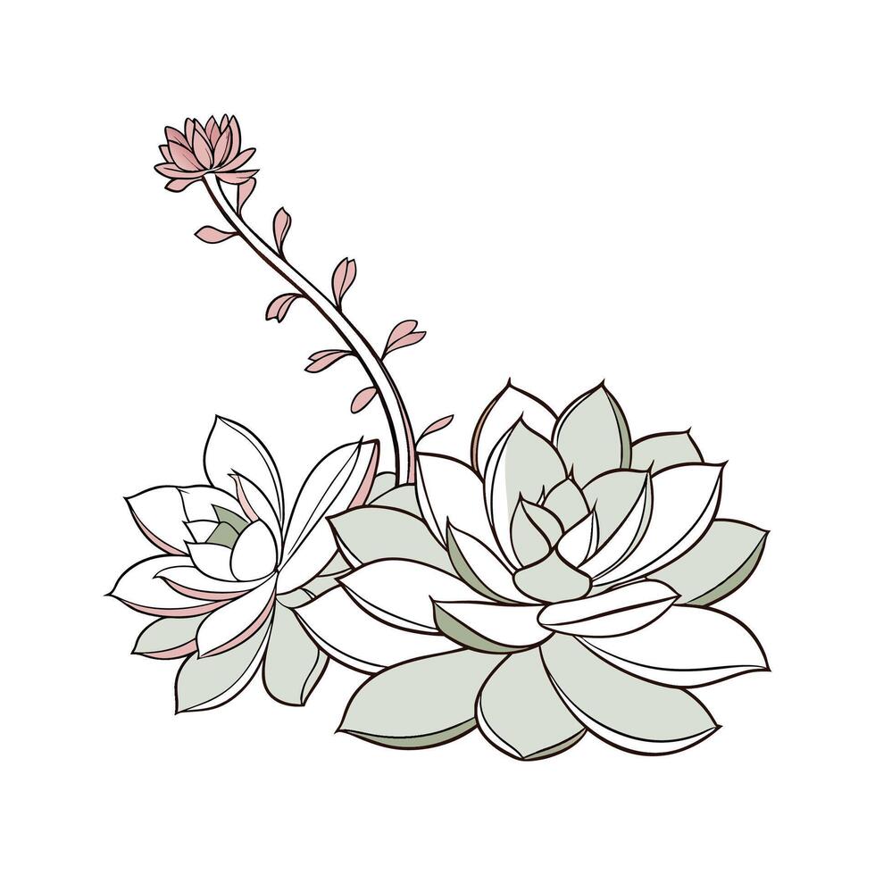 Charming Ghost Plant Artistic Illustration for Decor vector