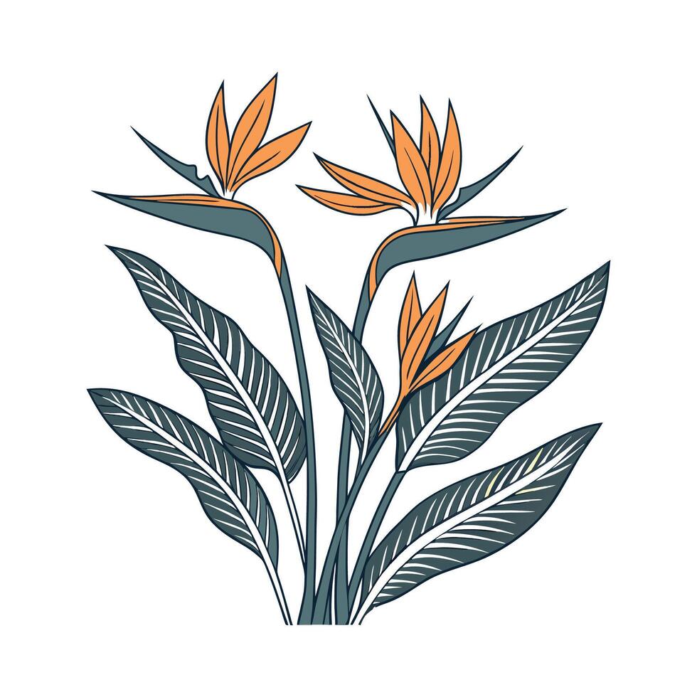 Giant Bird of Paradise Flower Unique Art Display vector