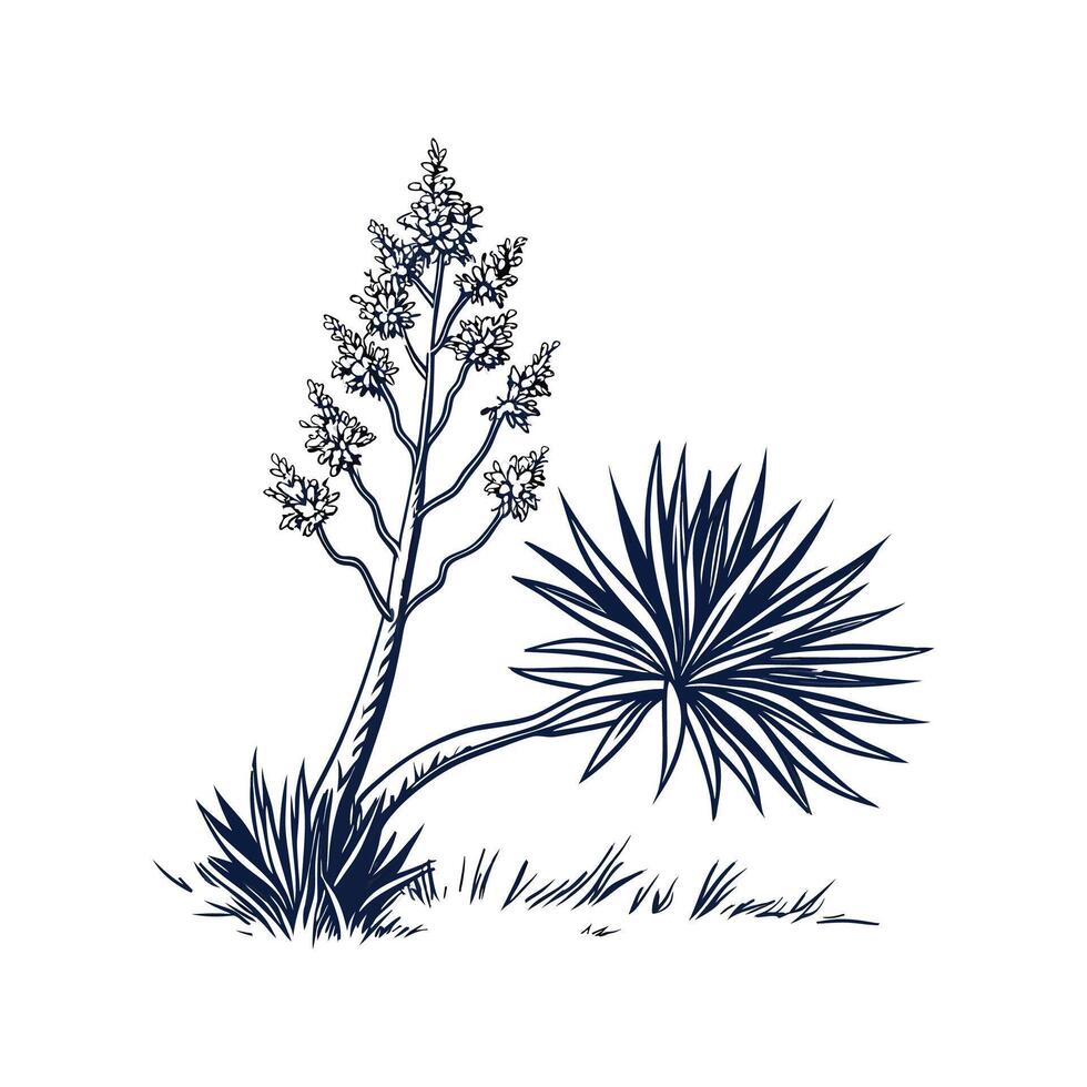 Stylish Giant Yucca Plant Botanical Artwork vector