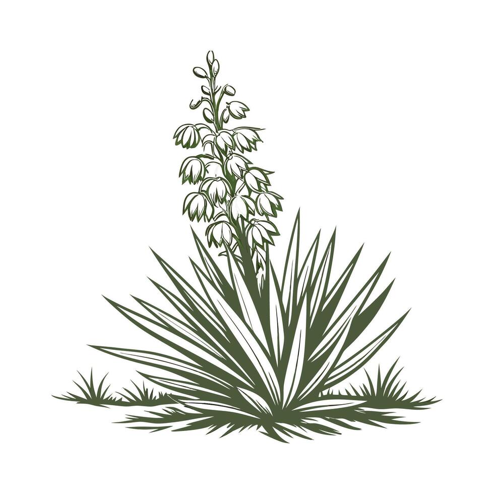Giant Yucca Plant Exclusive Illustration Design vector