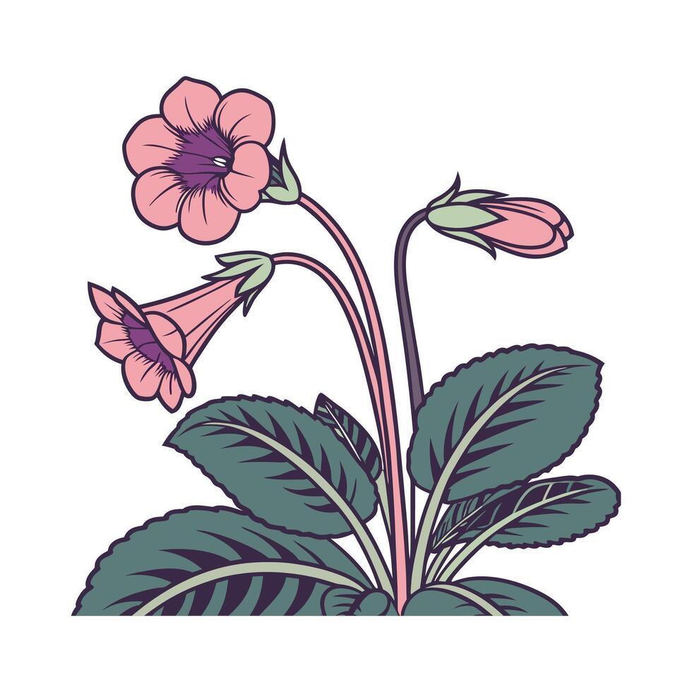 Stunning Gloxinia Flower Artwork vector