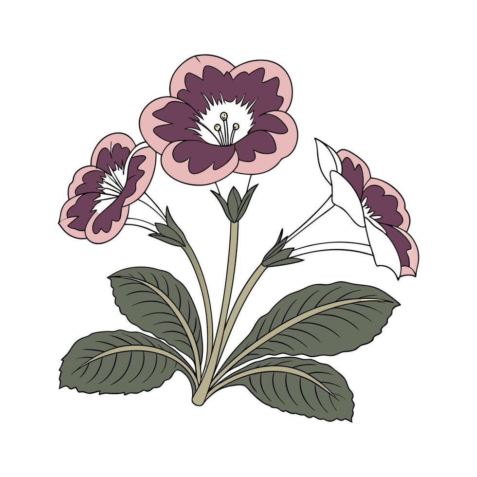 Gorgeous Gloxinia Plant Illustration vector