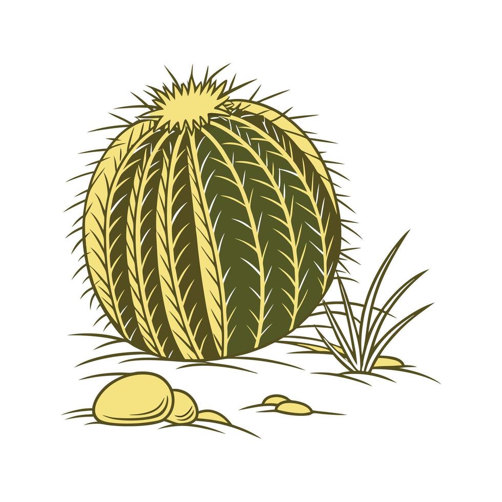 Golden Barrel Cactus Illustration Artwork vector
